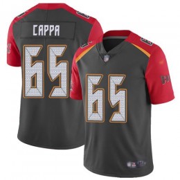 Tampa Bay Buccaneers #65 Alex Cappa Gray Men's Stitched NFL Limited Inverted Legend Jersey