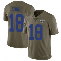 Dallas Cowboys #18 Randall Cobb Olive Youth Stitched NFL Limited 2017 Salute to Service Jersey